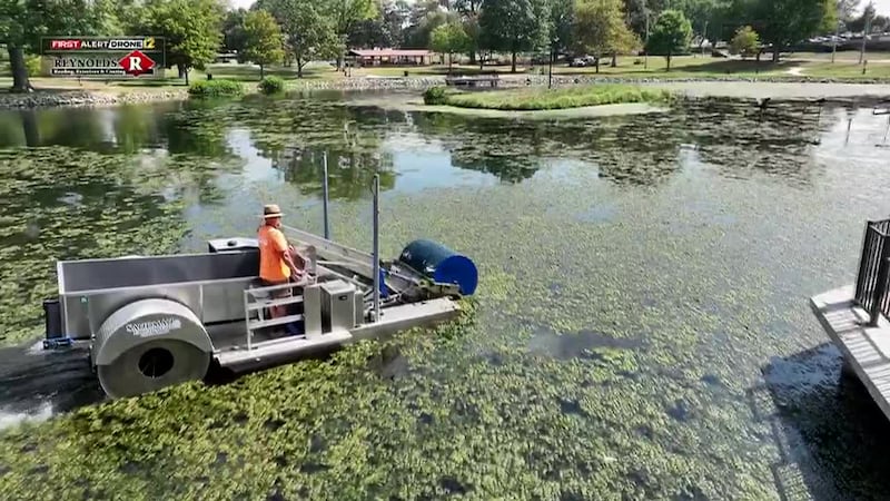 Equipos trabajaron para limpiar un "crecimiento excesivo de algas" en Capaha Pond en Cape...