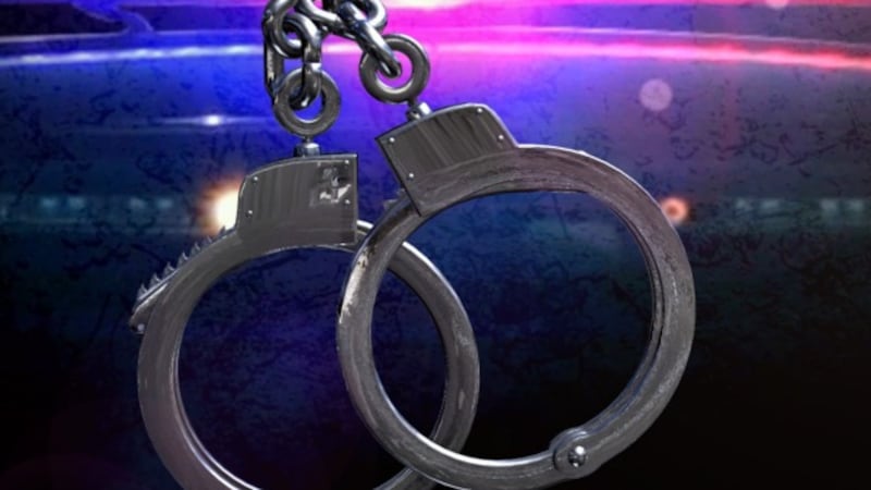 Una joven de 17 años fue arrestado por robo.