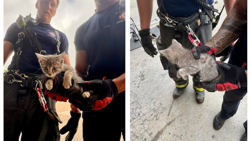 Los bomberos de Cape Girardeau ayudaron a una gatita a conservar sus nueve vidas el sábado por...