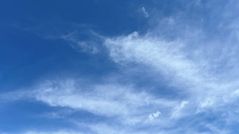 Una vez que las nubes se disipen esta tarde, las temperaturas deberían subir hasta los 60s.