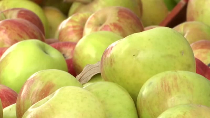 Mileur Orchards es una pequeña granja familiar en la Ruta 149 de Illinois, al oeste de la...