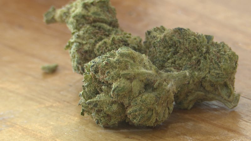 La Fiscal General de Missouri inició una investigación sobre algunos minoristas que venden...