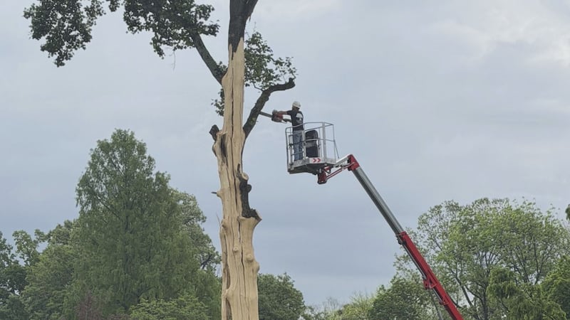 Los vecinos de un barrio de Cape Girardeau se despertaron con un fuerte estruendo la madrugada...