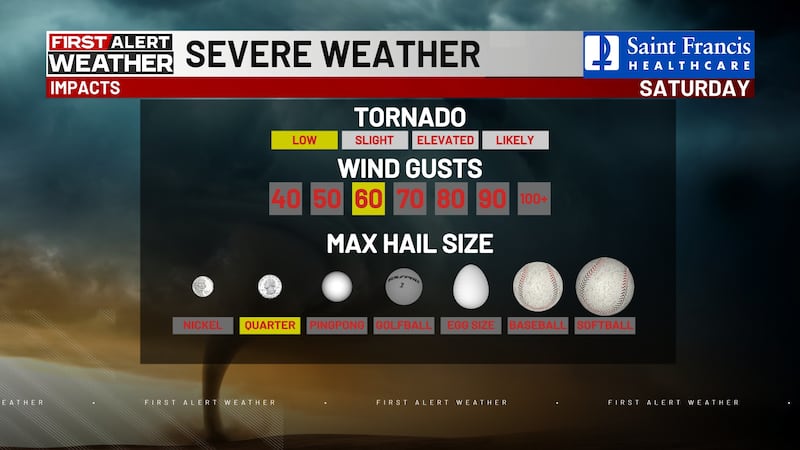 El gobernador Mike Kehoe firmó el viernes 6 de marzo una orden ejecutiva en la que declaraba...