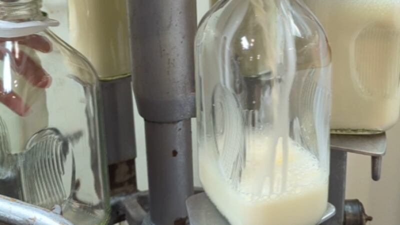 Los responsables de salud pública recomiendan que cualquier persona que haya consumido leche...