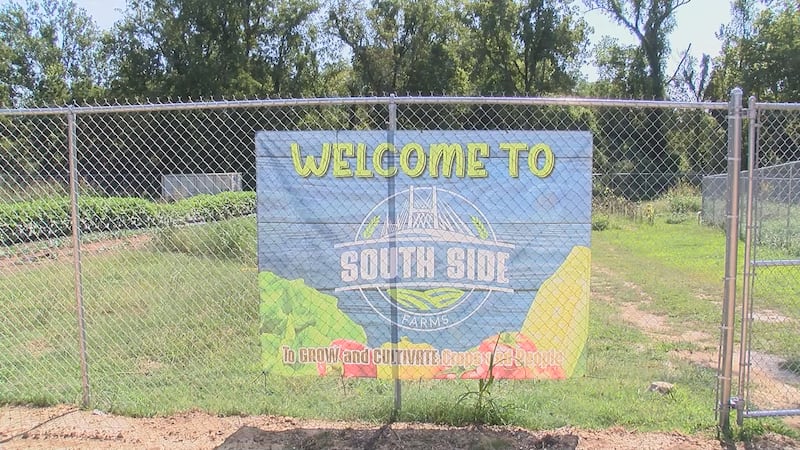 De acuerdo con el departamento, South Side Farms fue uno de los 19 proyectos en recibir...