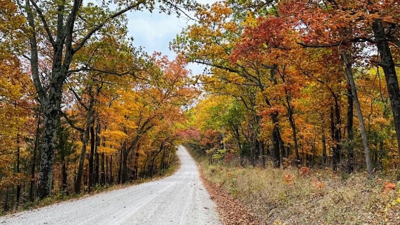 El Departamento de Agricultura de los Estados Unidos anunció la contratación de empleados...