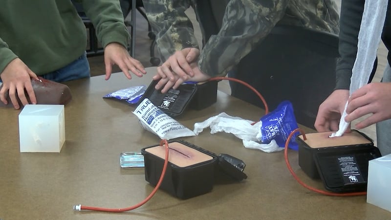 Los alumnos de la escuela secundaria Vienna High School están recibiendo formación práctica en...