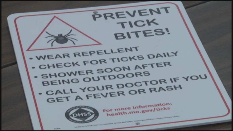 Es esa época del año en la que a todos nos encanta el buen tiempo y estar al aire libre en la...