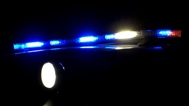 De acuerdo con los documentos judiciales publicados en línea, los agentes de policía...