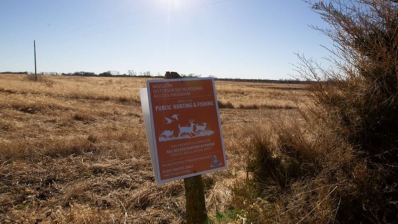 El Departamento de Conservación de Missouri informa de que esta primavera habrá menos fincas...