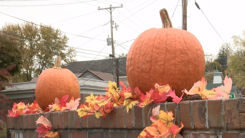 Por fin vemos algo de sol esta mañana.