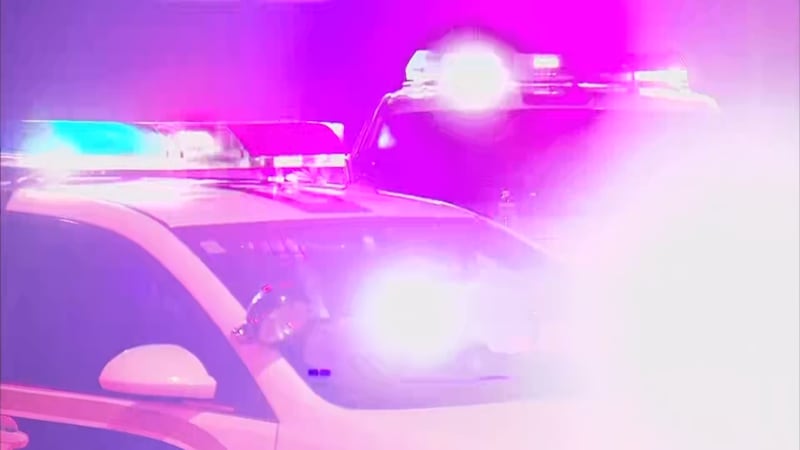 Los investigadores del sur de Illinois que respondieron a una denuncia de un disparo contra...