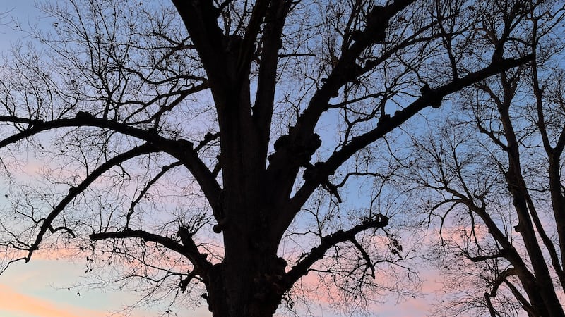 En general, hoy será un día frío.
