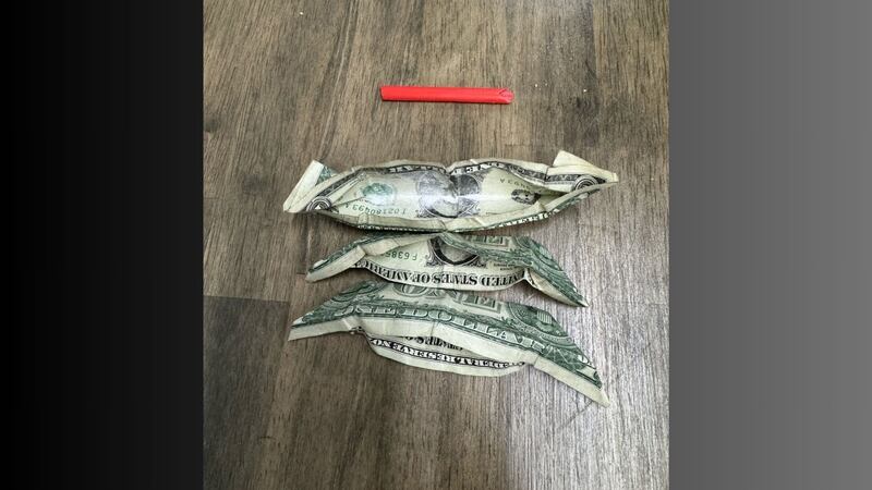Un ayudante del sheriff del condado de Graves descubrió drogas ilegales metidas en billetes de...
