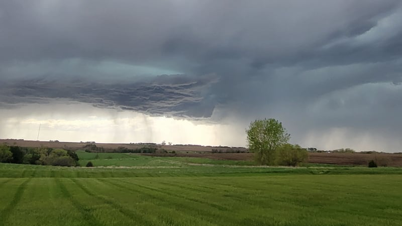 Disfrute de la agradable velada que se avecina.