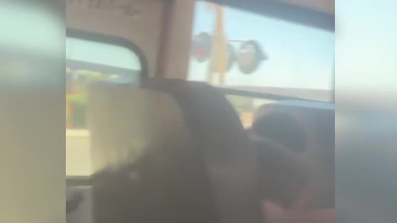 Video muestra cuando un tren por poco choca contra autobús escolar. Niños gritaban de miedo....